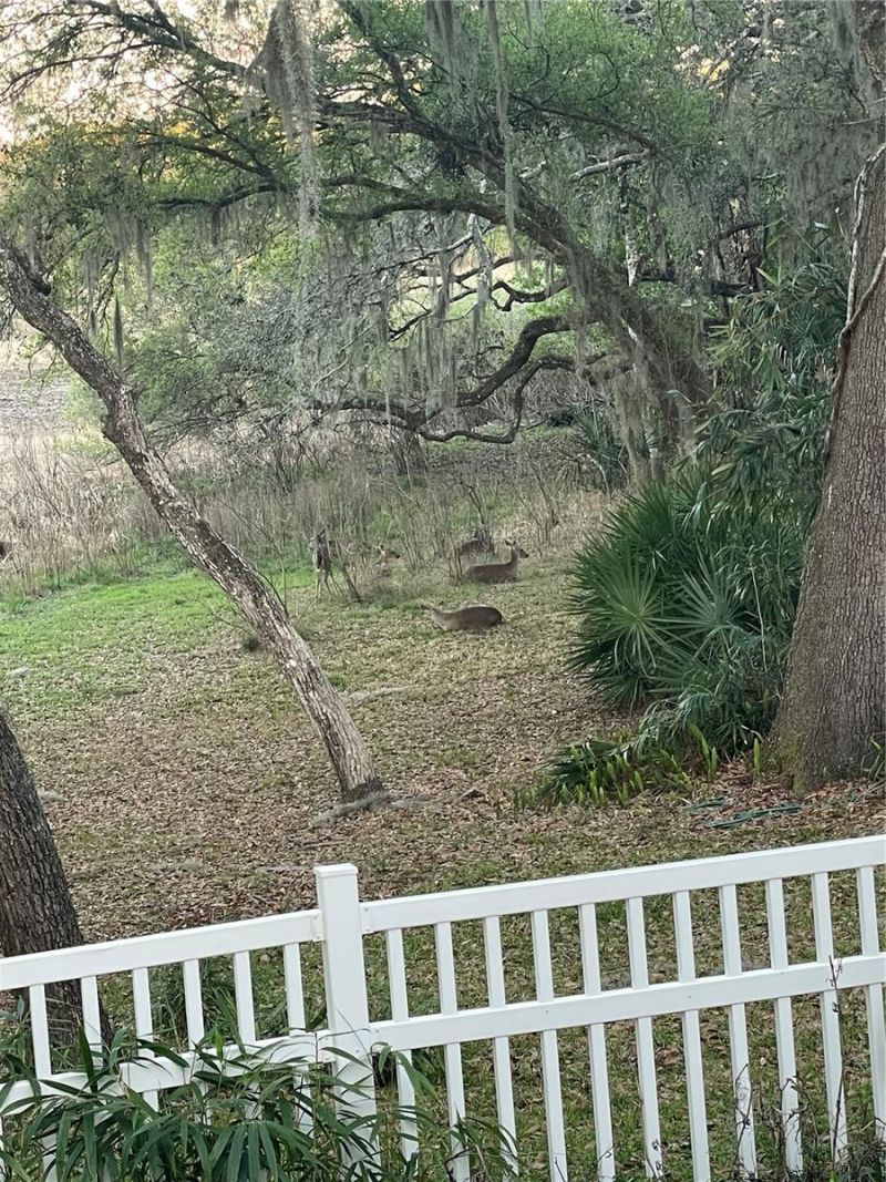 3189 S Graymor Path, Inverness, FL 34450 Photo