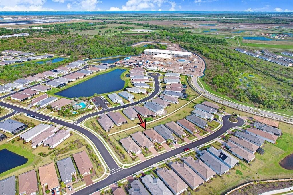 11417 Trivio Terrace, Palmetto, FL 34221 Photo