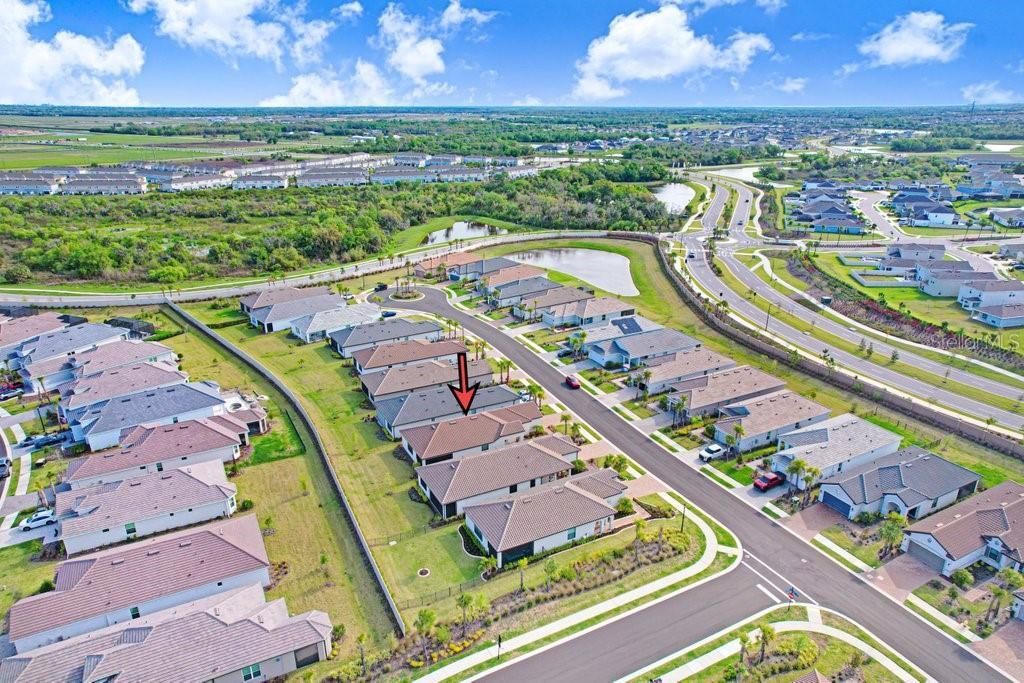 11417 Trivio Terrace, Palmetto, FL 34221 Photo