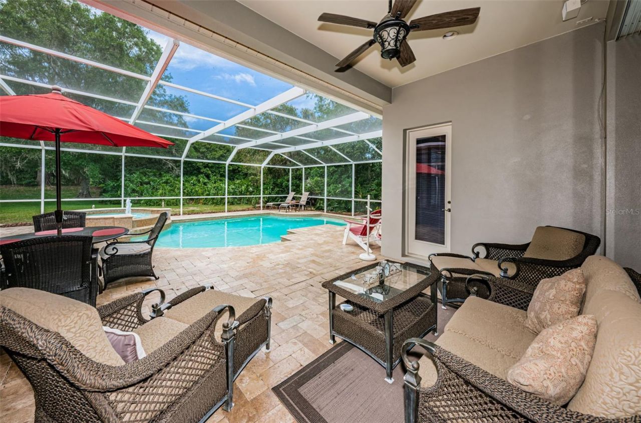 4604 Ayron Terrace , Palm Harbor, FL 34685 Photo