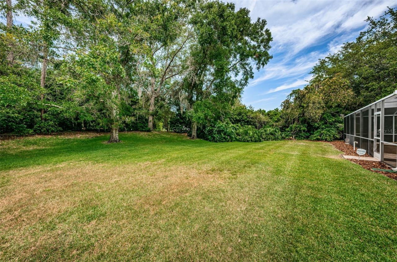 4604 Ayron Terrace , Palm Harbor, FL 34685 Photo