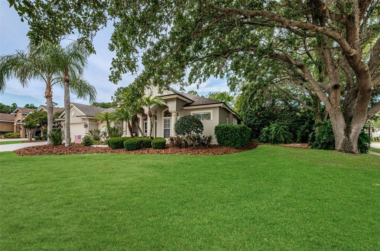 4604 Ayron Terrace , Palm Harbor, FL 34685 Photo