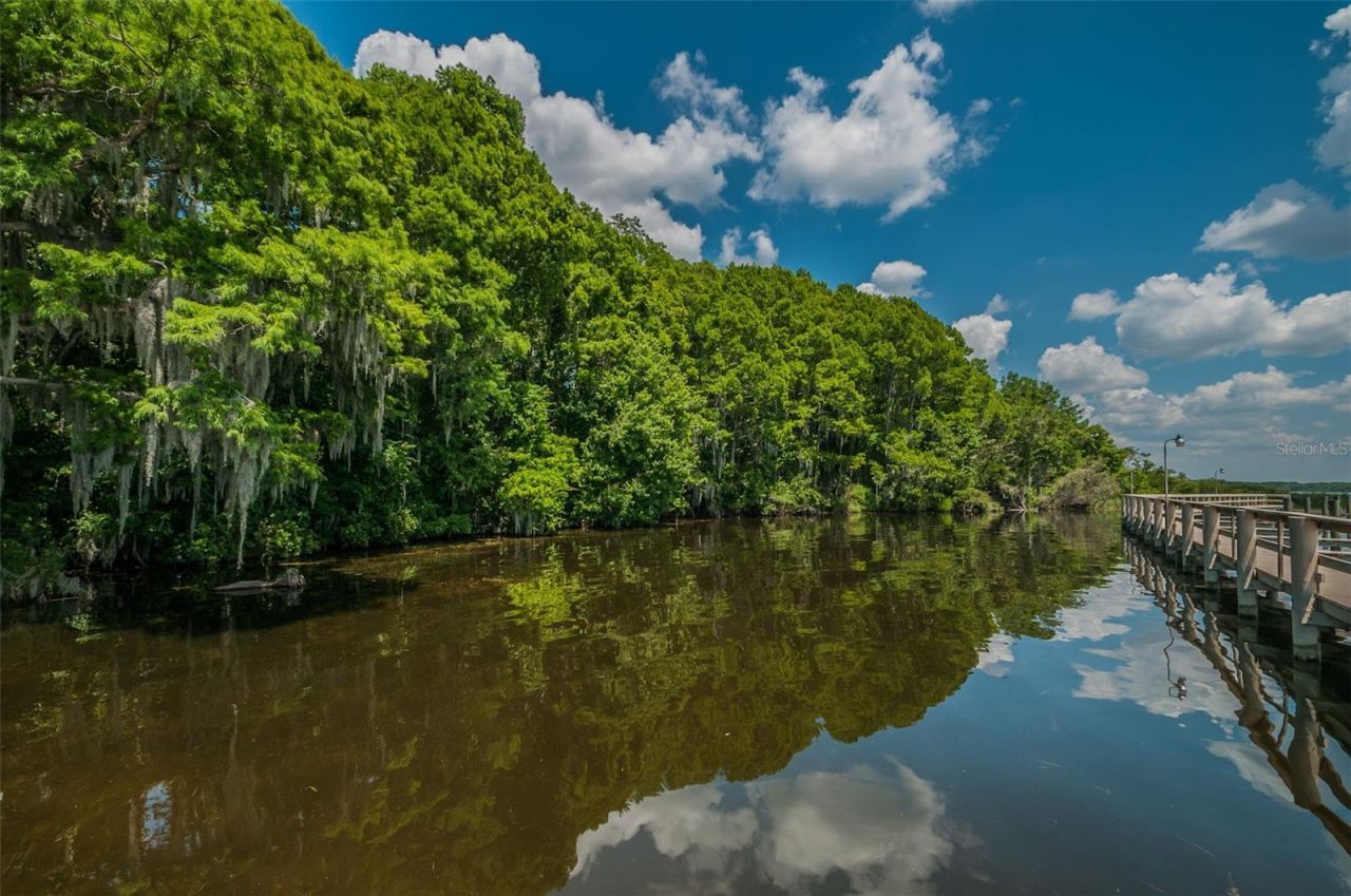 4604 Ayron Terrace , Palm Harbor, FL 34685 Photo