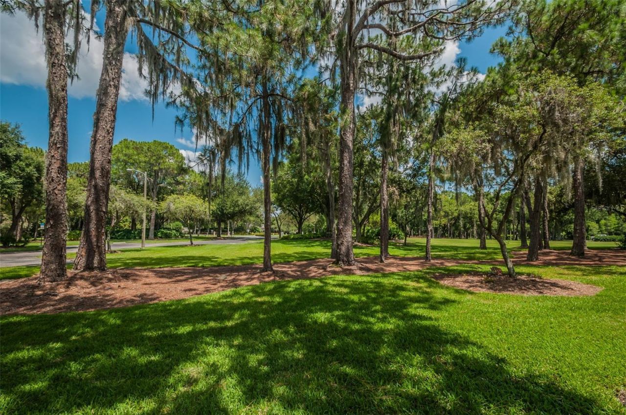 4604 Ayron Terrace , Palm Harbor, FL 34685 Photo