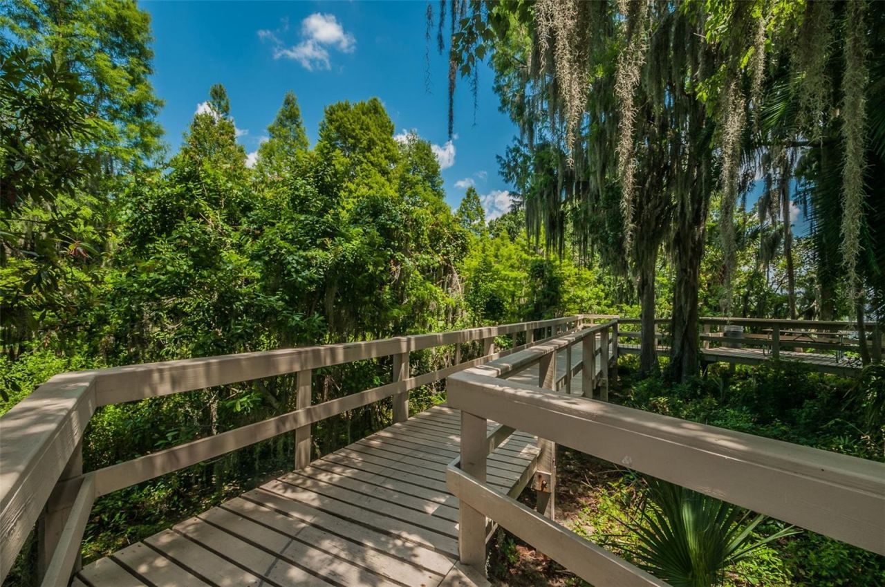 4604 Ayron Terrace , Palm Harbor, FL 34685 Photo