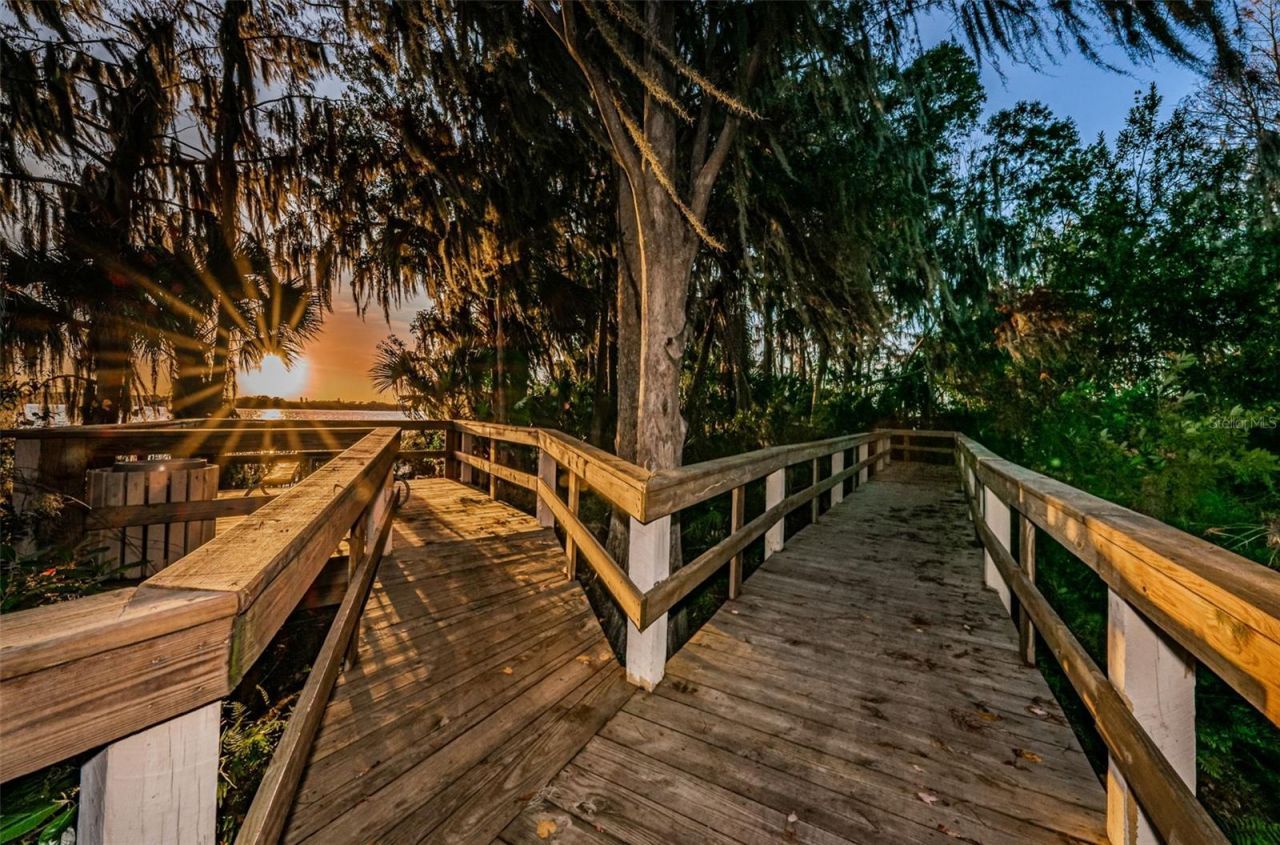 4604 Ayron Terrace , Palm Harbor, FL 34685 Photo