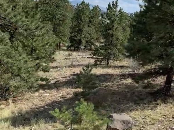 52 Bit Way , Hartsel, CO 80449