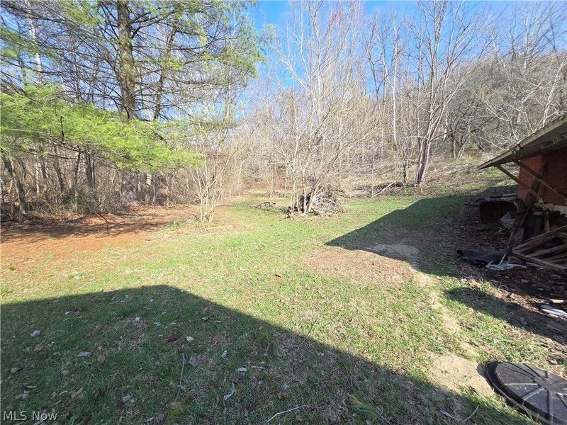 54990 Maple Avenue, Bridgeport, OH 43912 Photo 15