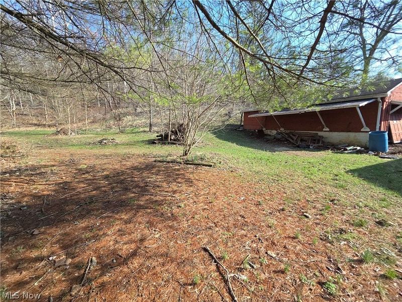 54990 Maple Avenue, Bridgeport, OH 43912 Photo 16