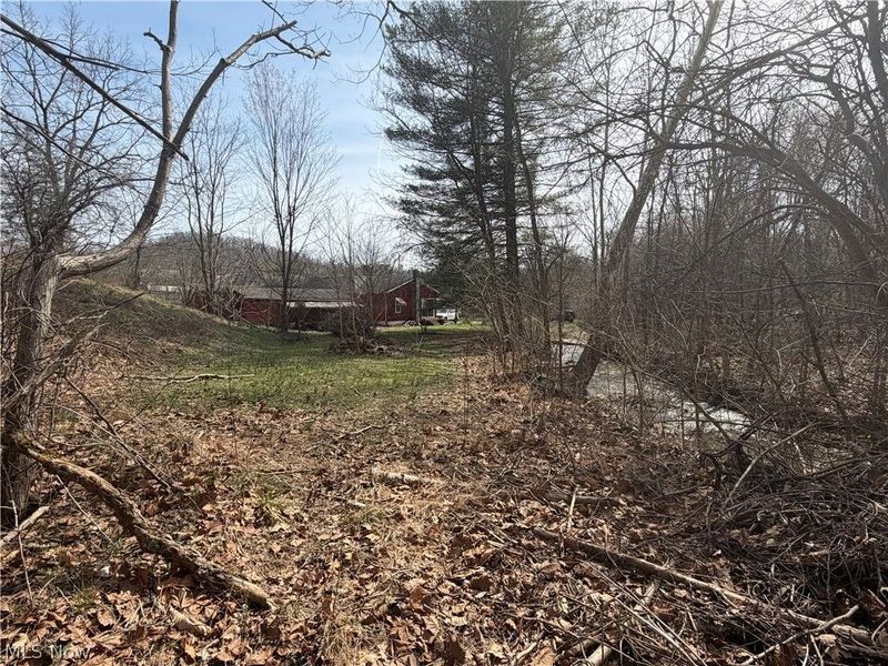 54990 Maple Avenue, Bridgeport, OH 43912 Photo 18