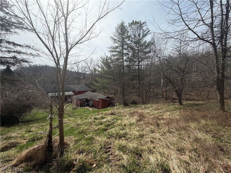 54990 Maple Avenue, Bridgeport, OH 43912 Photo 19