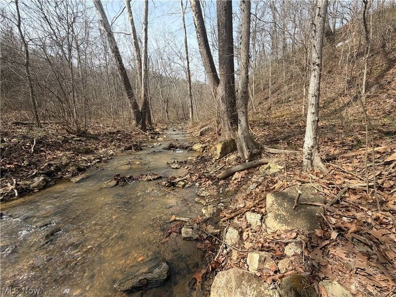 54990 Maple Avenue, Bridgeport, OH 43912 Photo 20