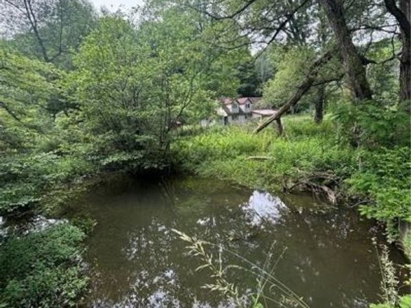 2045 Baxter Mills Road, Hinsdale, NY 14743