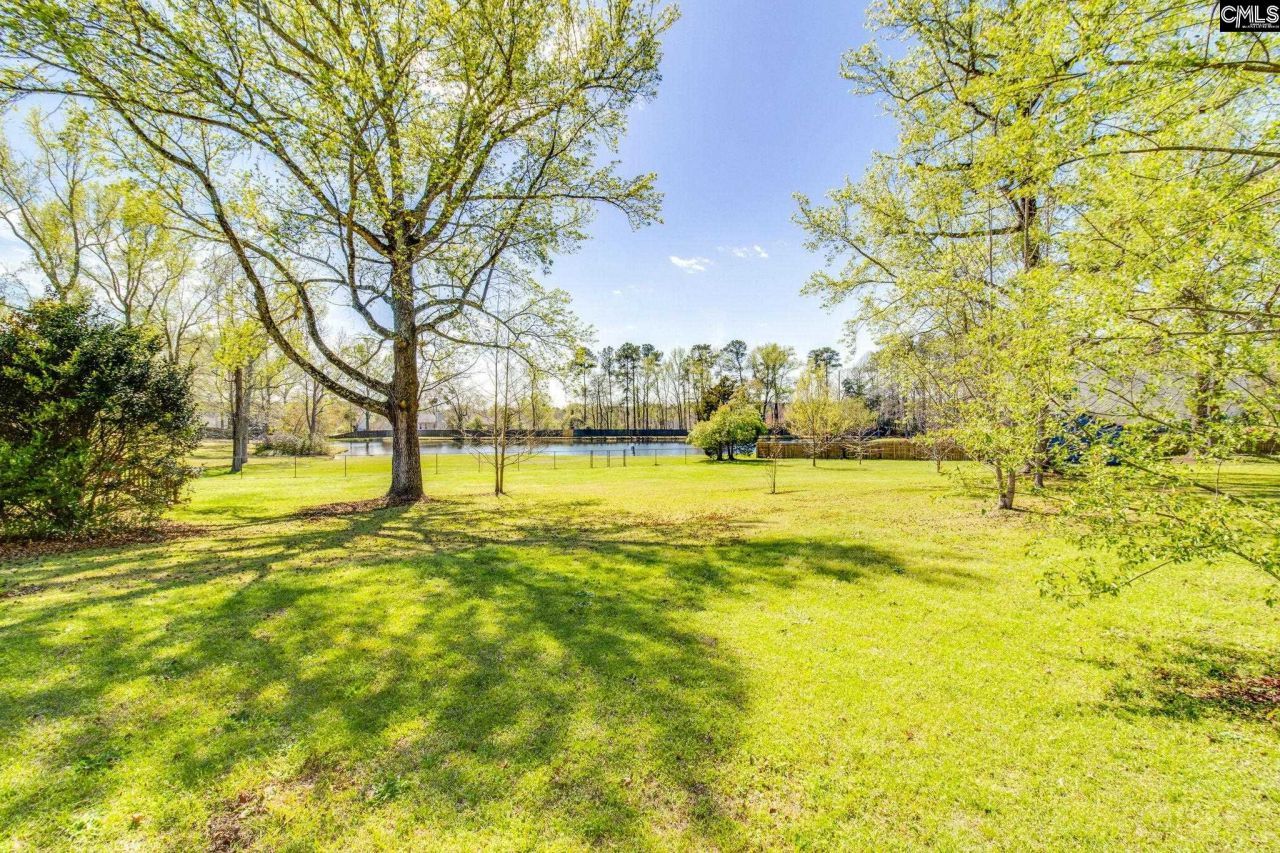 391 Park Road Photo 30