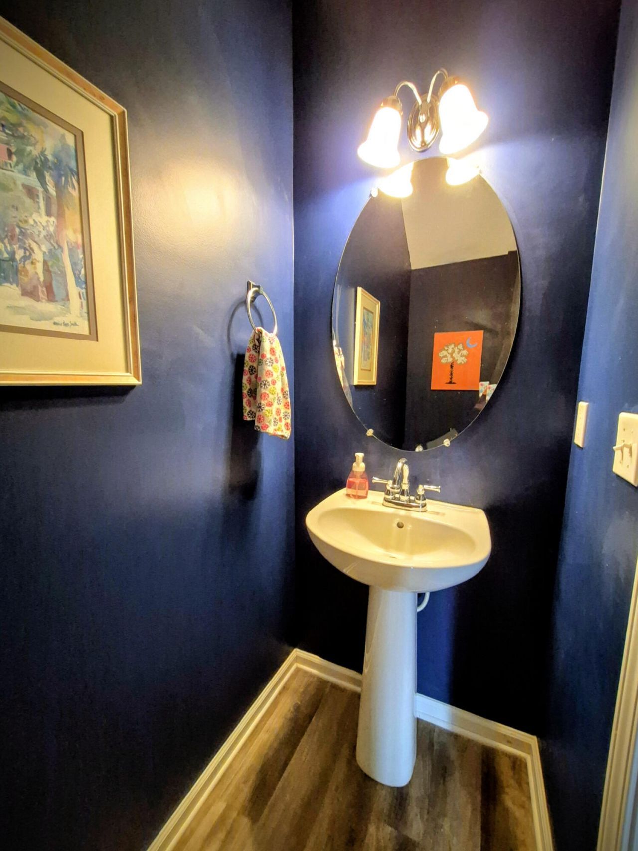 211 Hemingway Circle Photo 15