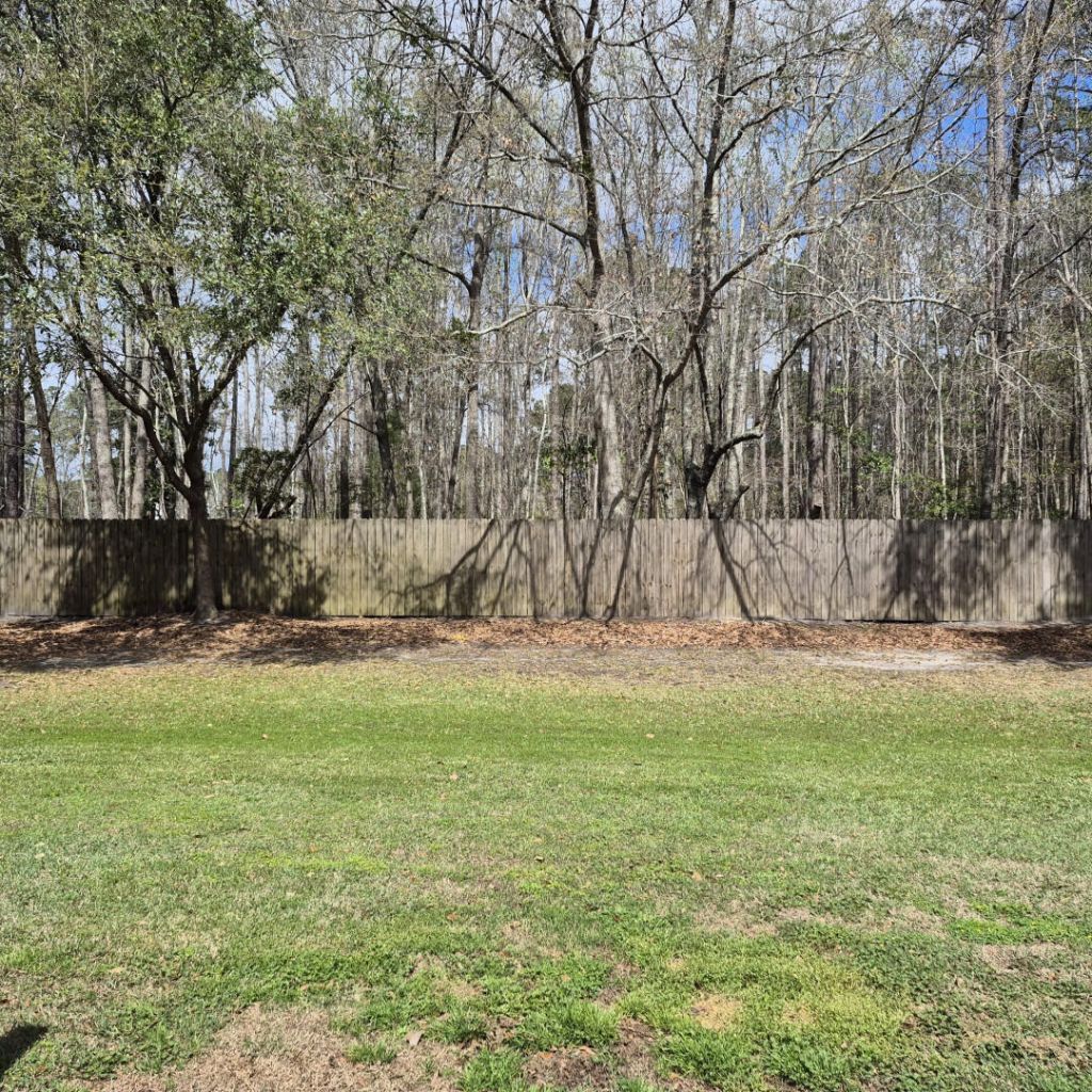 211 Hemingway Circle Photo 19