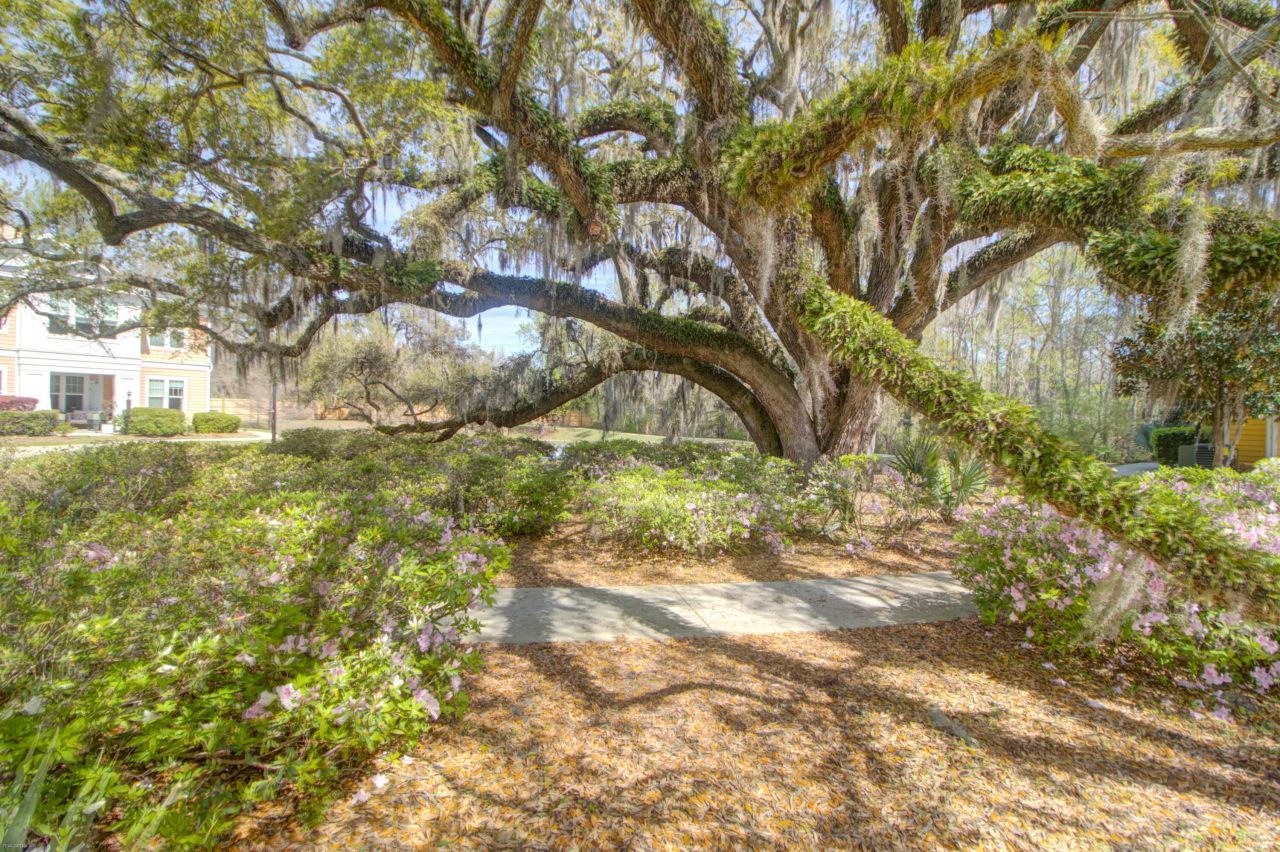 2315 Chatelain Way Photo 24