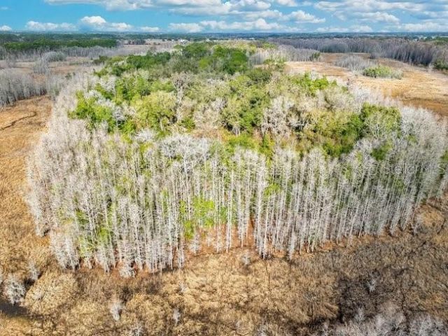 11535 Mattioda Road, Groveland, FL 34736 Photo