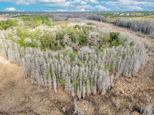 11535 Mattioda Road, Groveland, FL 34736 Photo