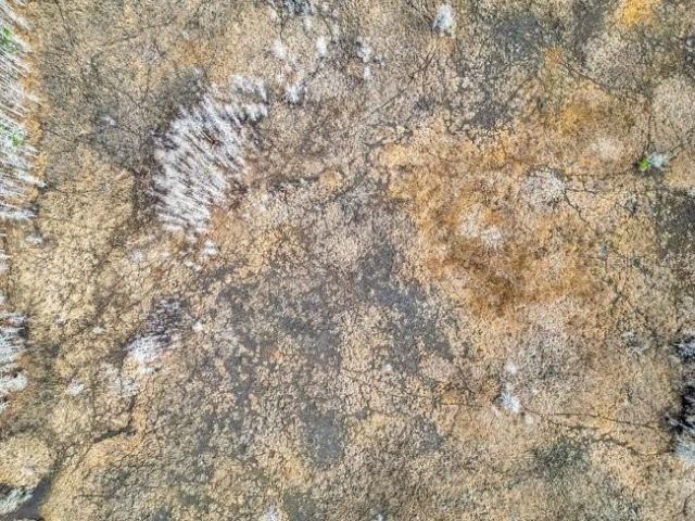 11535 Mattioda Road, Groveland, FL 34736 Photo