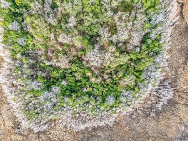 11535 Mattioda Road, Groveland, FL 34736 Photo