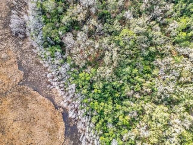 11535 Mattioda Road, Groveland, FL 34736 Photo