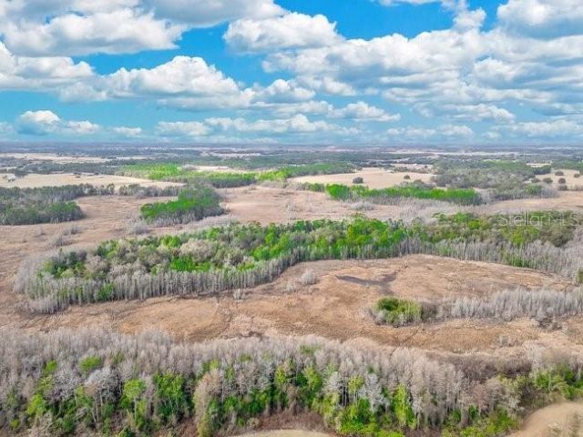 11535 Mattioda Road, Groveland, FL 34736 Photo