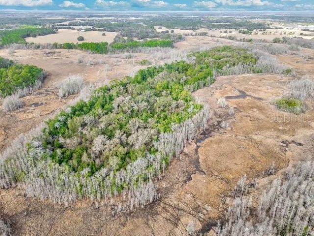 11535 Mattioda Road, Groveland, FL 34736 Photo