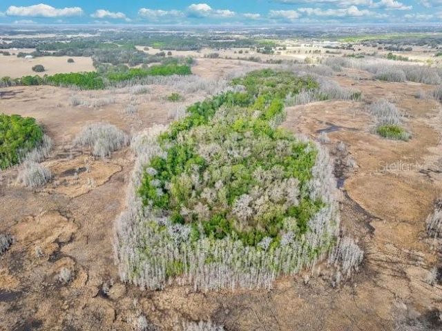 11535 Mattioda Road, Groveland, FL 34736 Photo