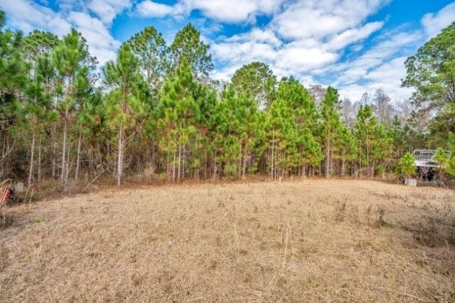 11535 Mattioda Road, Groveland, FL 34736 Photo