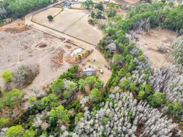 11535 Mattioda Road, Groveland, FL 34736 Photo