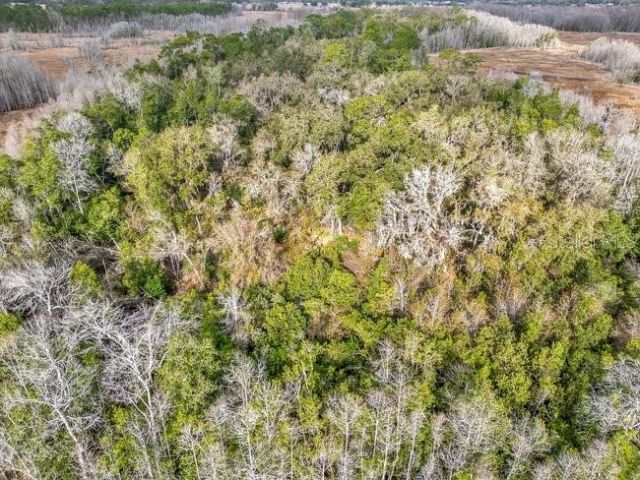 11535 Mattioda Road, Groveland, FL 34736 Photo