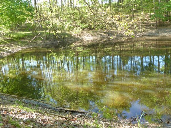 TRACT 8 Dusty LN , Martinsville, VA 24112