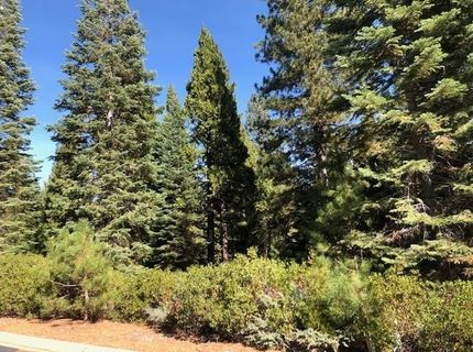 89 Fox Crest Drive, Lake Almanor, CA 96137 Photo