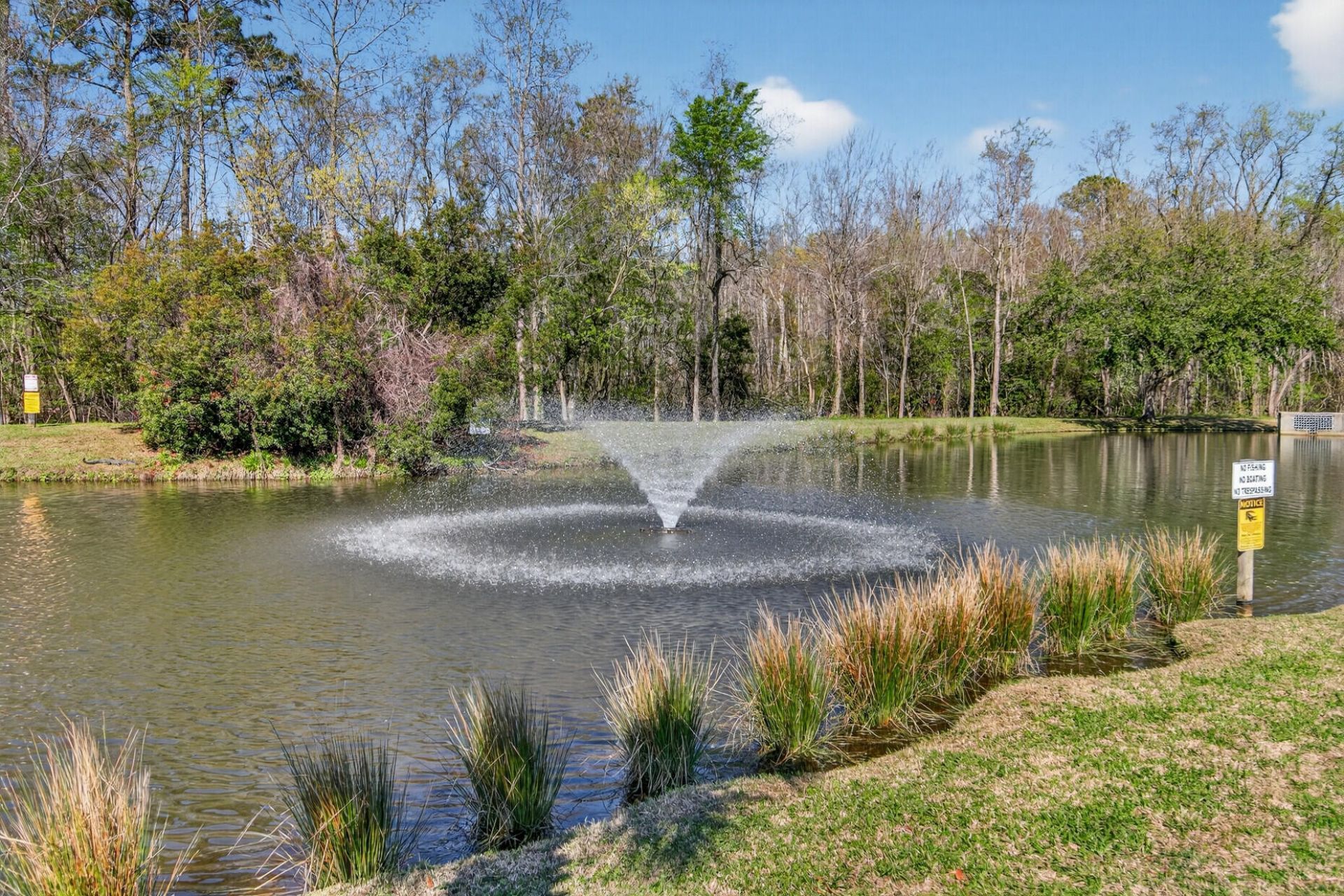 131 Hornby Circle Photo 41