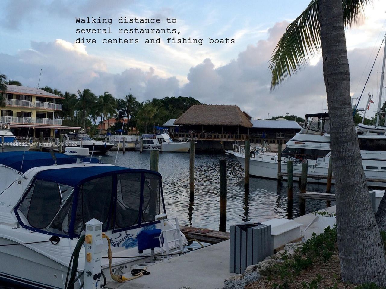 300 Ocean Drive, Unit 20, Key Largo, FL 33037 Photo