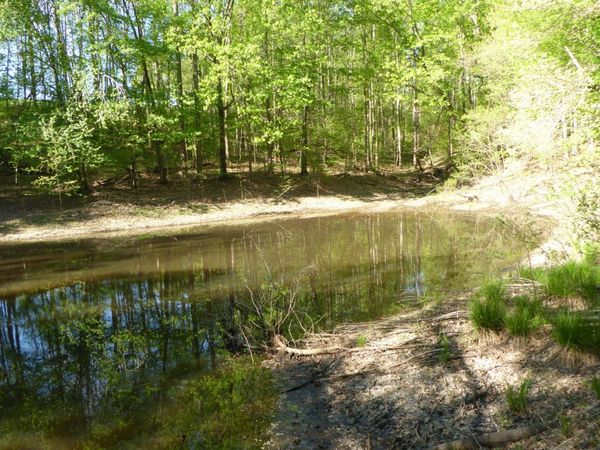 TRACT 9 Dusty LN , Martinsville, VA 24112