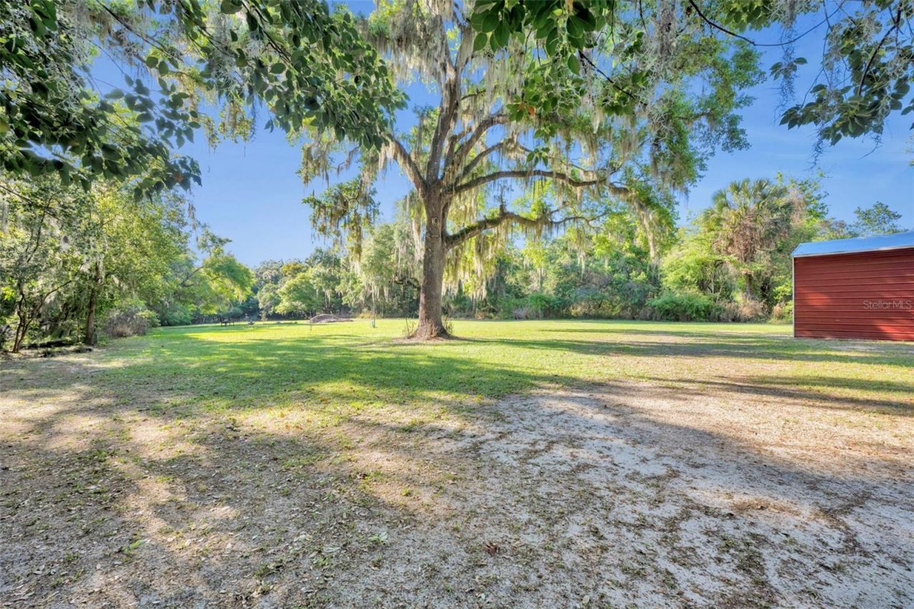 26721 Bloomfield Avenue , Yalaha, FL 34797 Photo