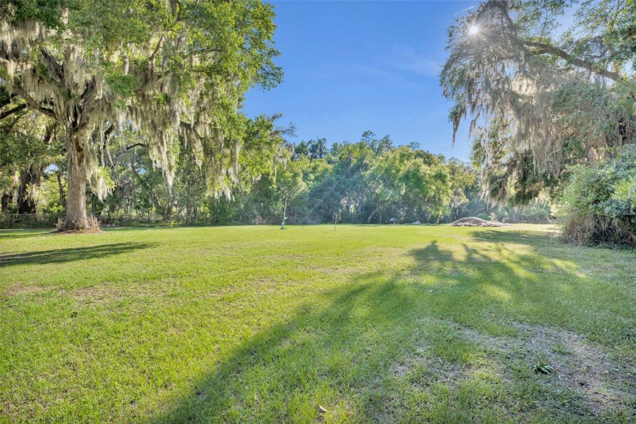 26721 Bloomfield Avenue , Yalaha, FL 34797 Photo