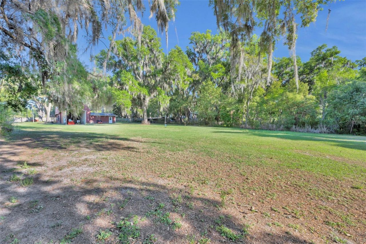 26721 Bloomfield Avenue , Yalaha, FL 34797 Photo