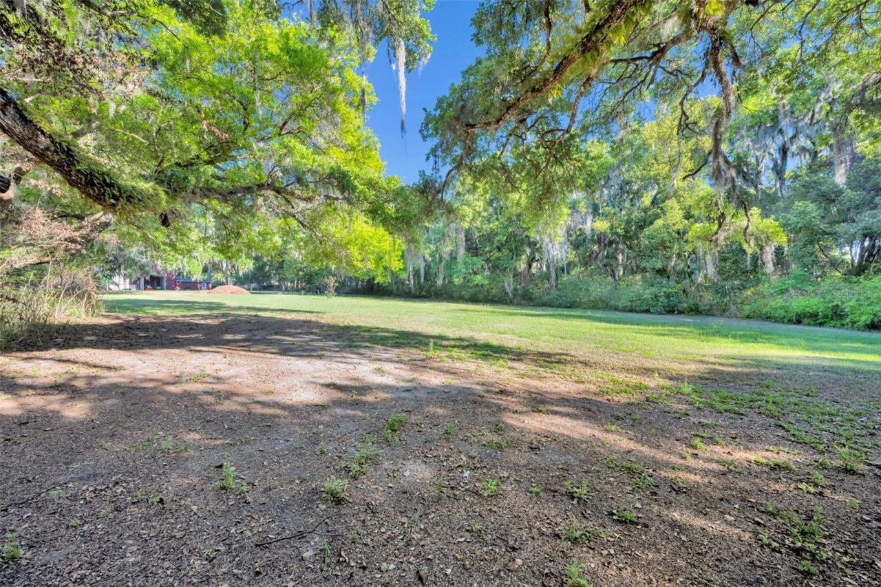 26721 Bloomfield Avenue , Yalaha, FL 34797 Photo