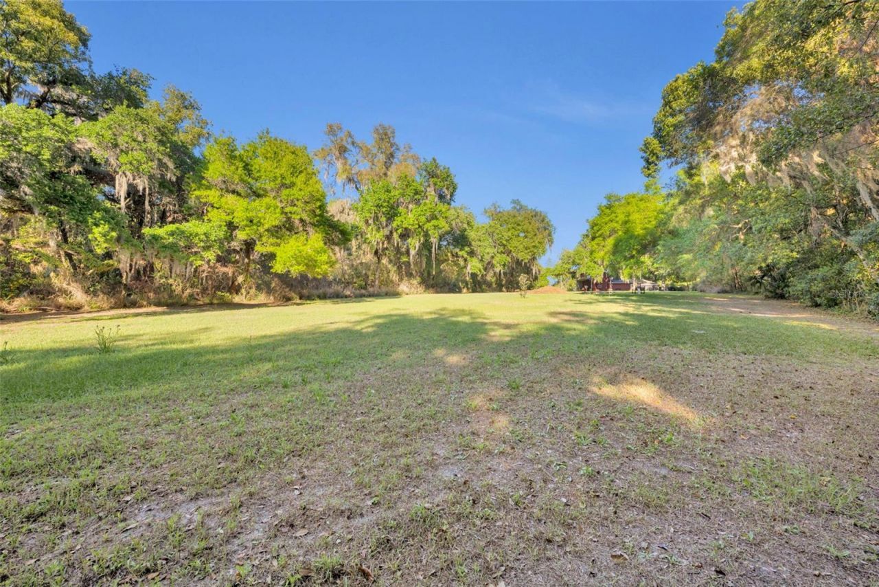 26721 Bloomfield Avenue , Yalaha, FL 34797 Photo