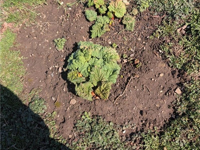 218 S lawn Drive, Newcomerstown, OH 43832 Photo 18