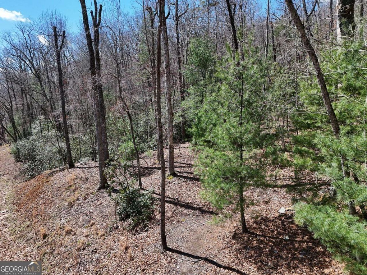 Lot 15 Native Trail, Blue Ridge, GA 30513 Main Photo