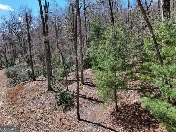 LOT 15 Native Trail, Blue Ridge, GA 30513
