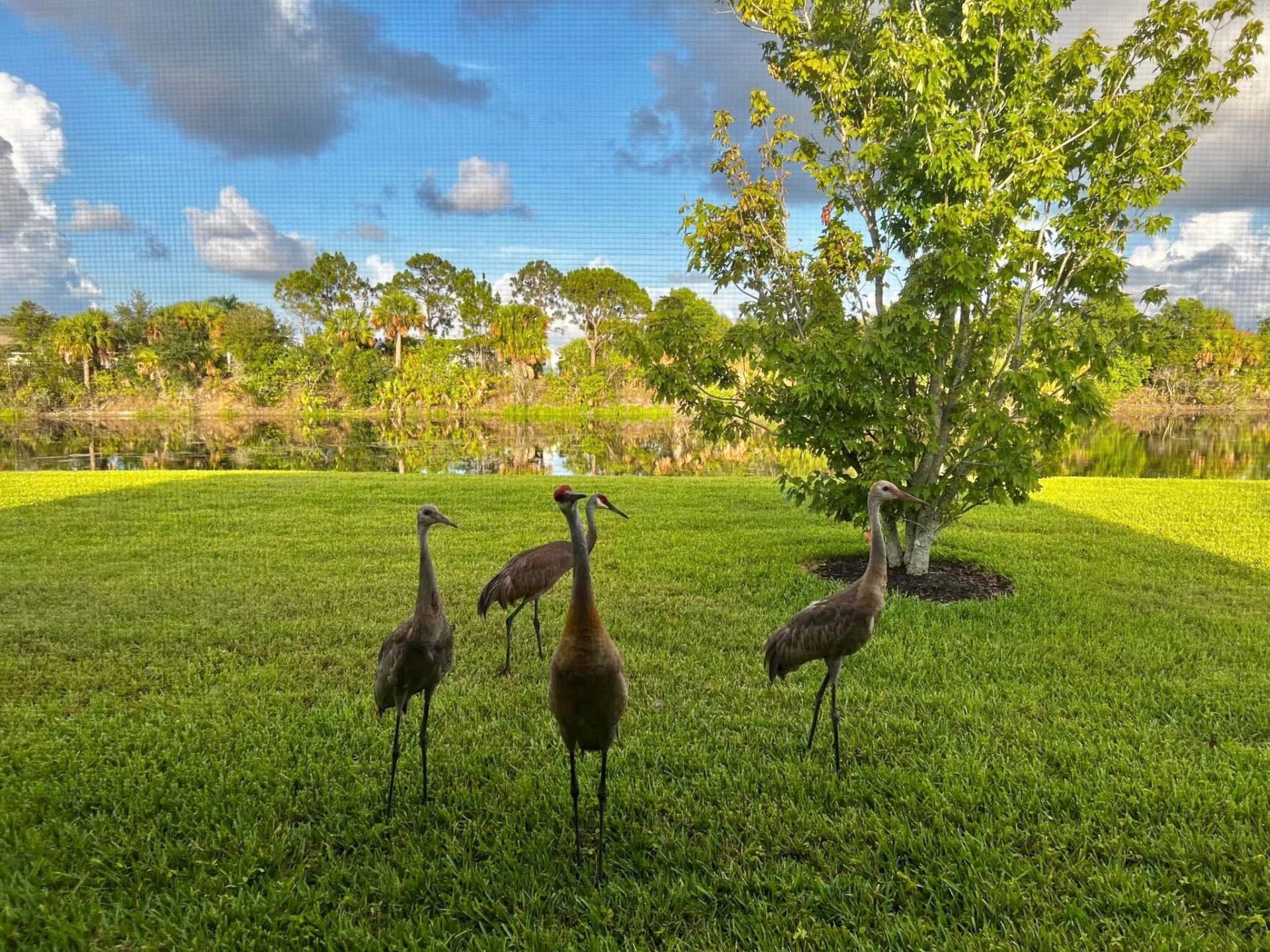 9866 SW Eastbrook Circle, Port Saint Lucie, FL 34987 Photo