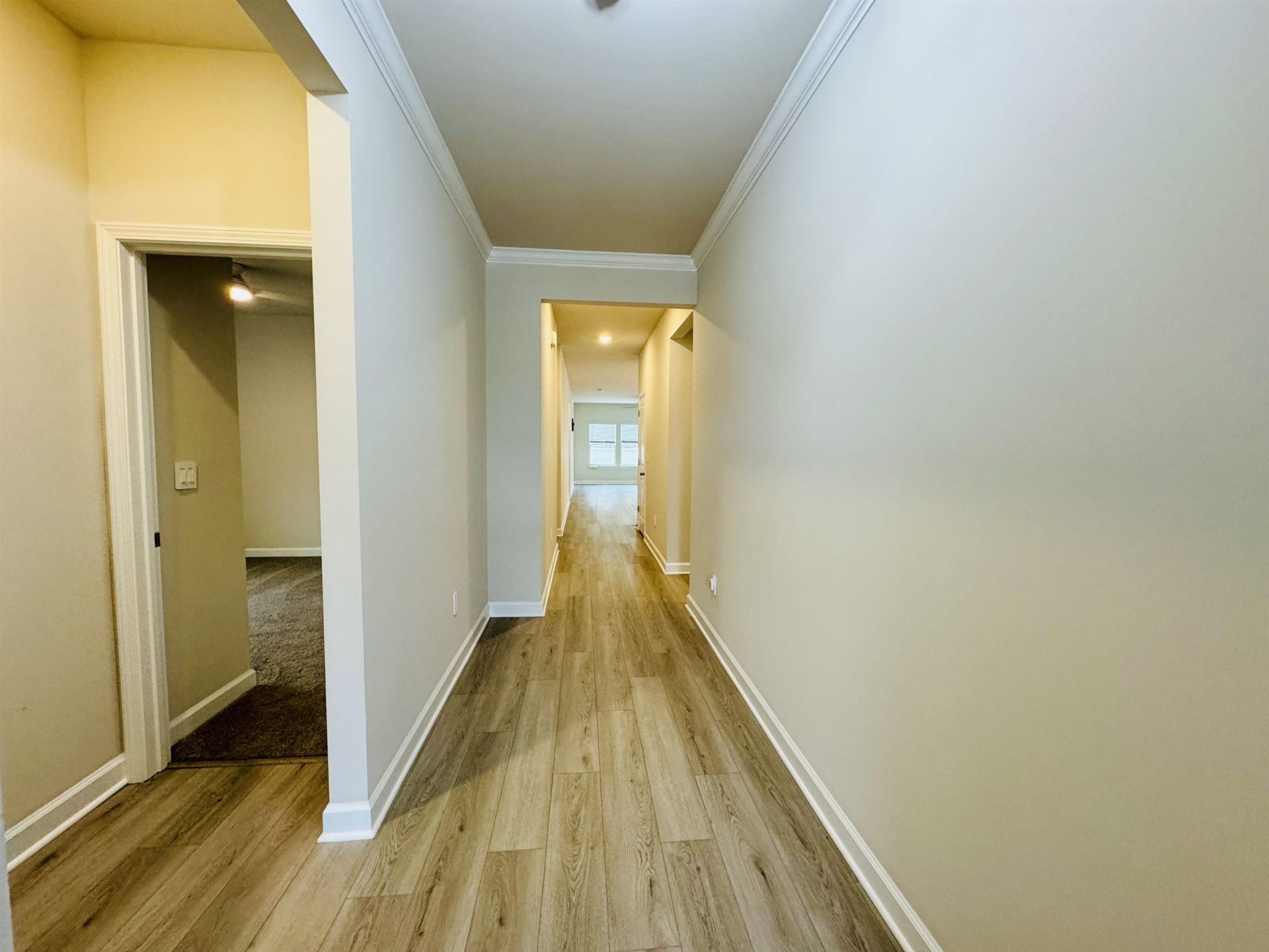 928 Maya Layne Dr. Photo 68