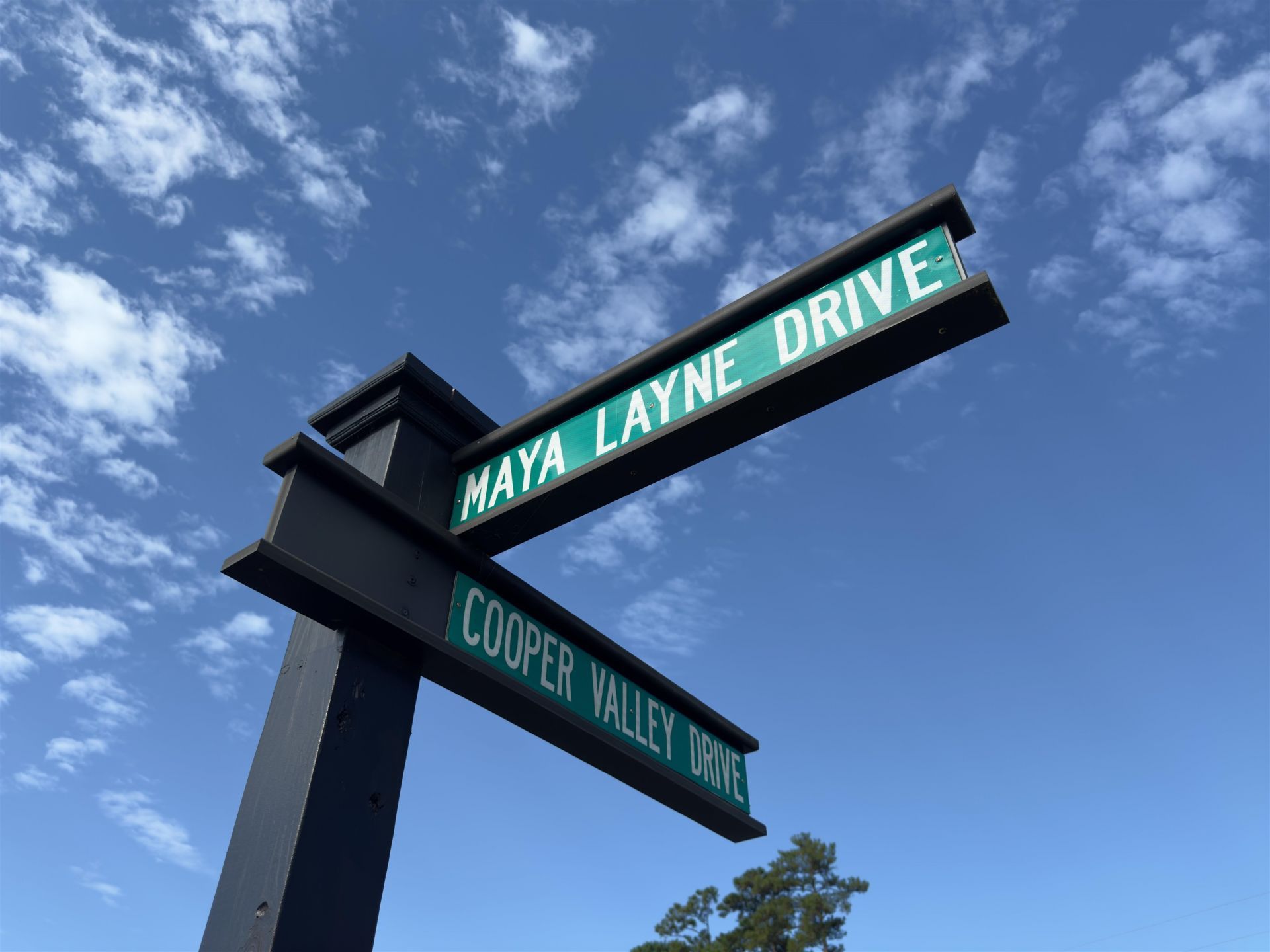 928 Maya Layne Dr. Photo 75