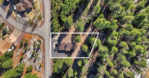 682 Bailey Creek Drive, Lake Almanor, CA 96137 Photo