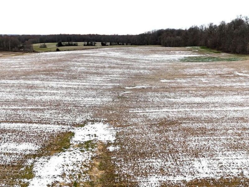 0 County Road 98 , Mount Gilead, OH 43338 Photo 4